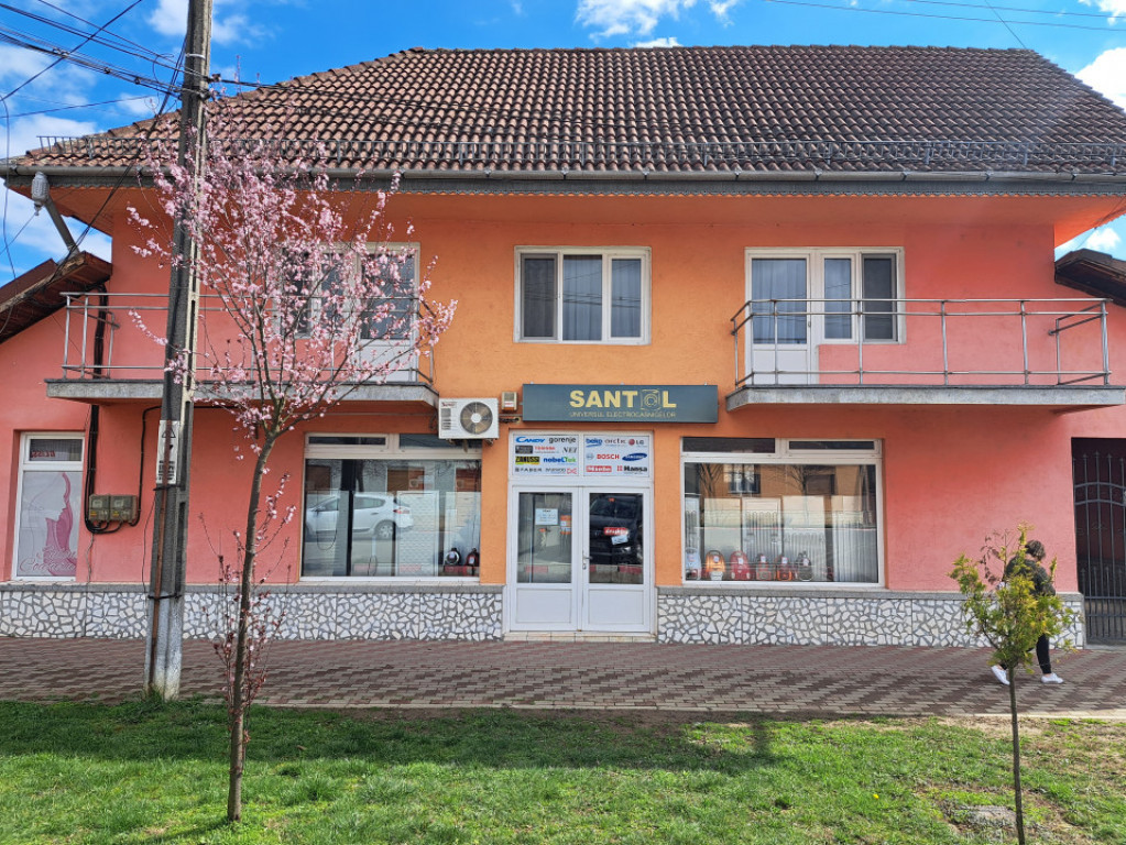 Casa mare cu 2 spatii comerciale, in Faget