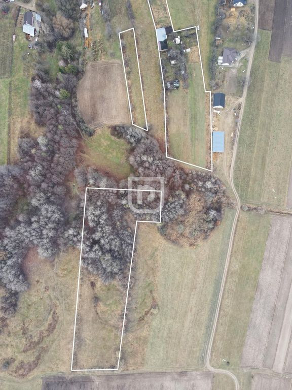 Casa traditionala la tara cu livada | Poieni-Solca