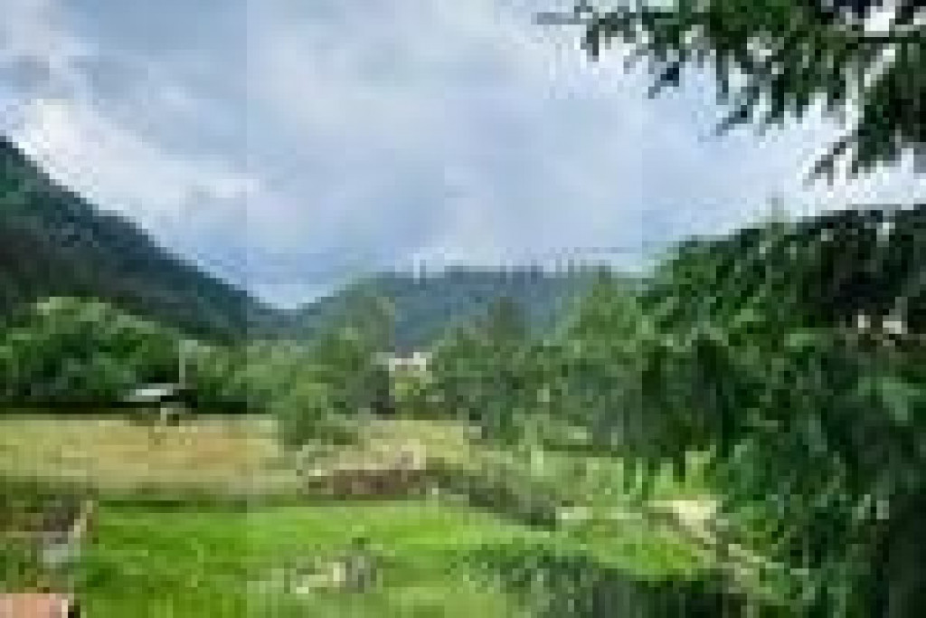 Casa 250 mp, 4 camere, zona Bran