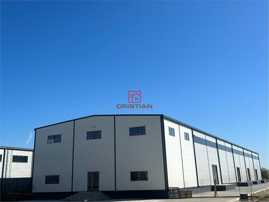 Depozit/hala/spatiu industrial Theodor Pallady - Drumul Int