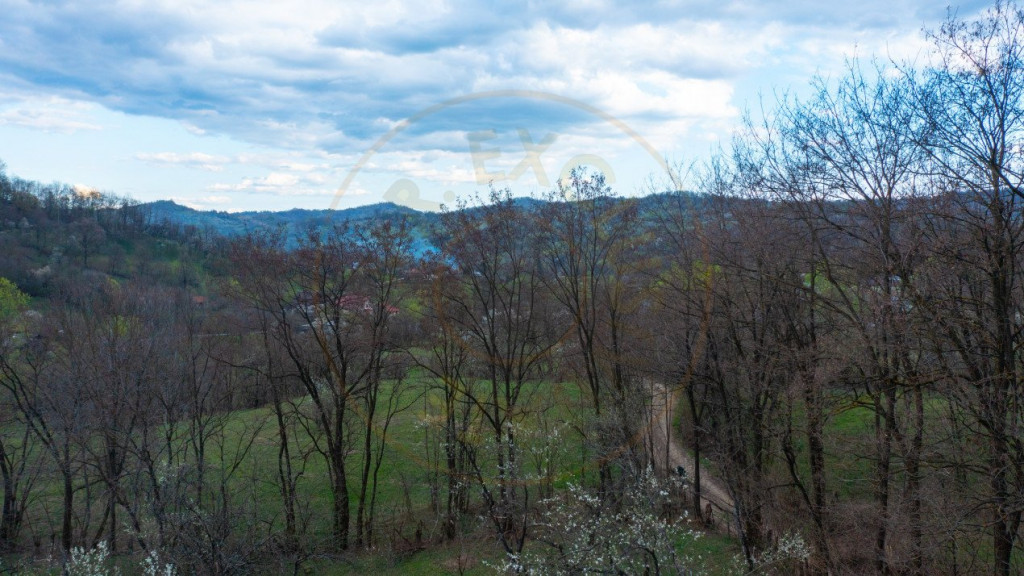 Teren extravilan Bezdead