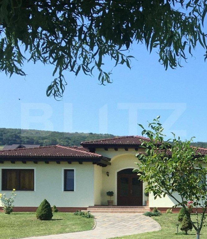 Casă superbă de vânzare, 5800mp teren, Ceauasu de Campie