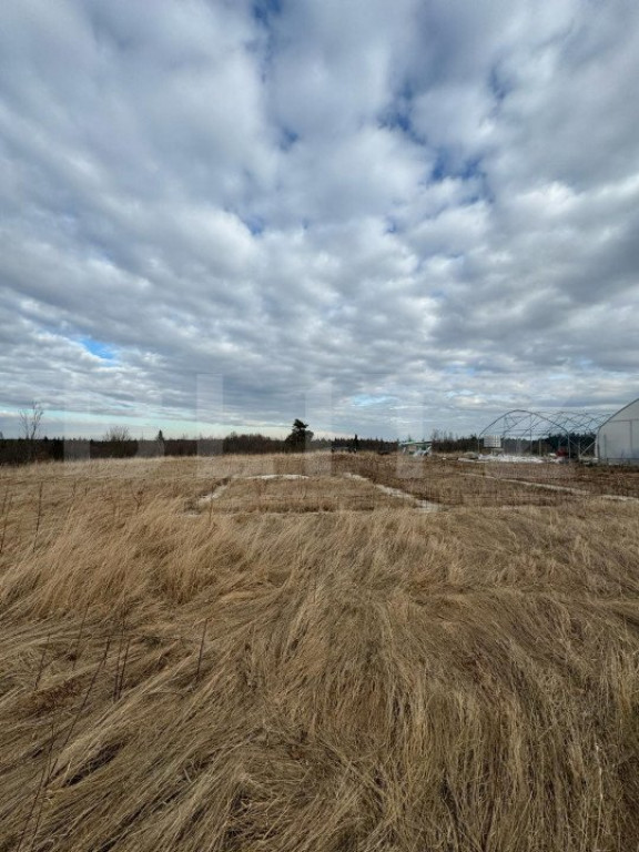 Teren intravilan, Hardic , cu proiect pentru accesare de fon