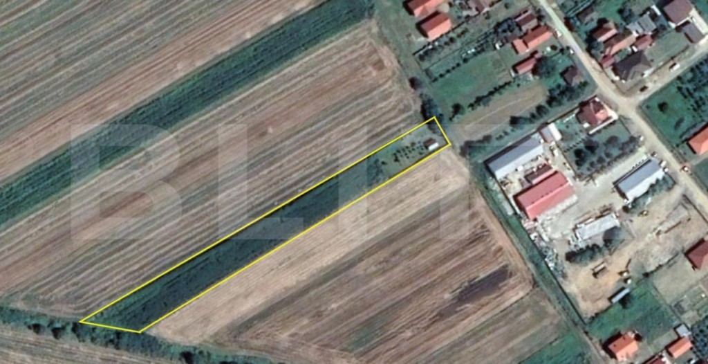 Teren extravilan | 5.000mp | Lazuri