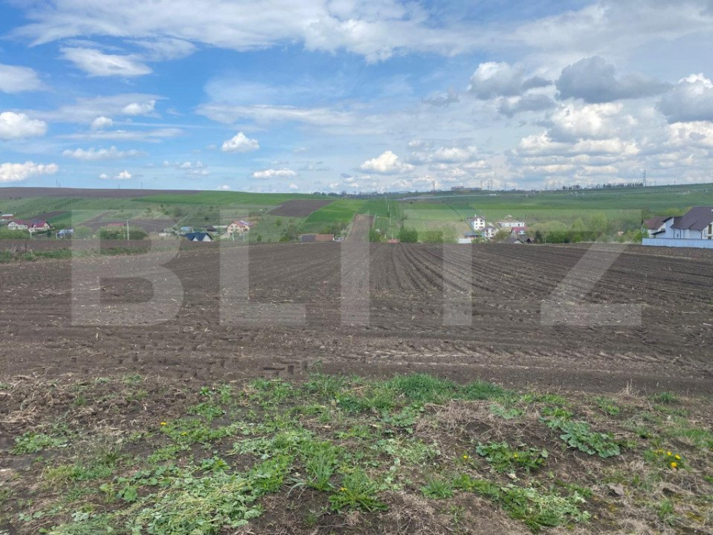 Teren Intravilan Moara , 5800mp