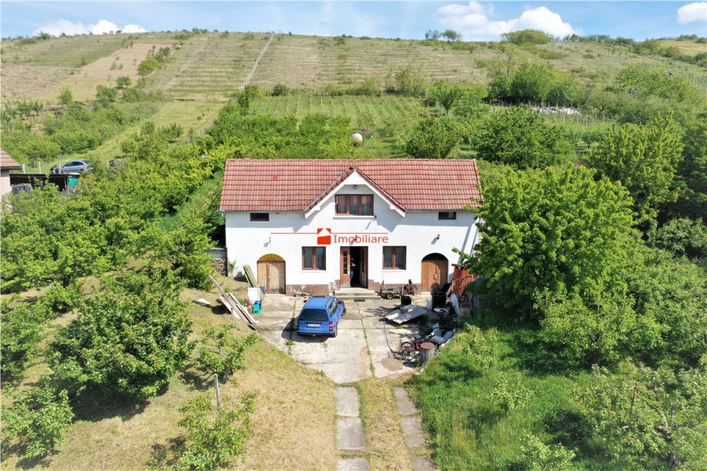 OPORTUNITATE INVESTITIONALA - LIVADA | VIE | CRAMA