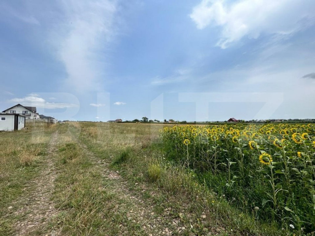 Parcele de 770 mp , drum privat 7m , zona rezidențială Moa