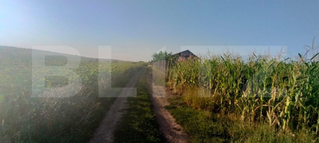 Teren de 7500 mp in Moara