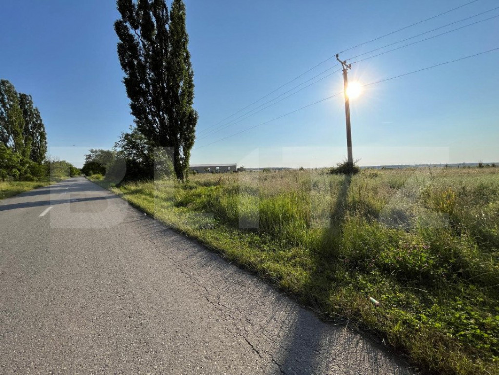 Teren IV/EV 1.800 mp, la asfalt, zona Cârligei - Palilula