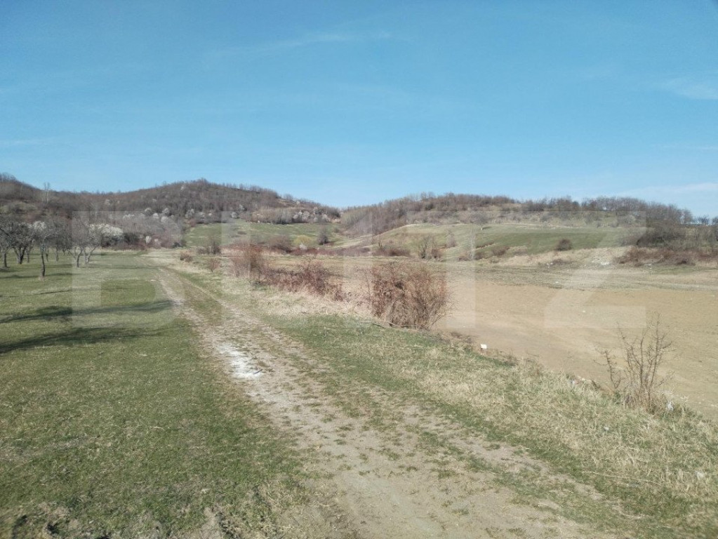 Teren intravilan cu suprafață de 9ha, Aninoasa