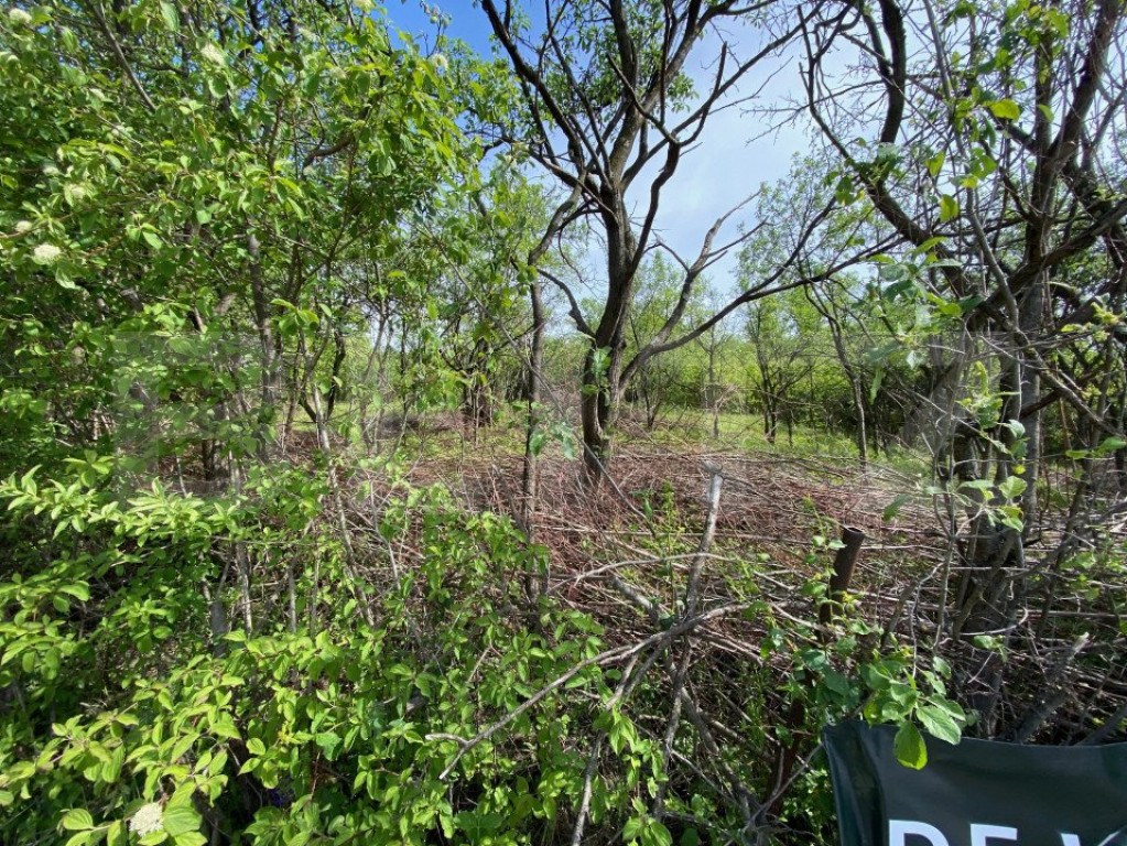 Teren zona Episcopiei