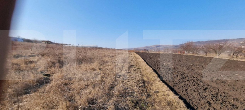 Teren intravilan, 6800 mp, Jucu