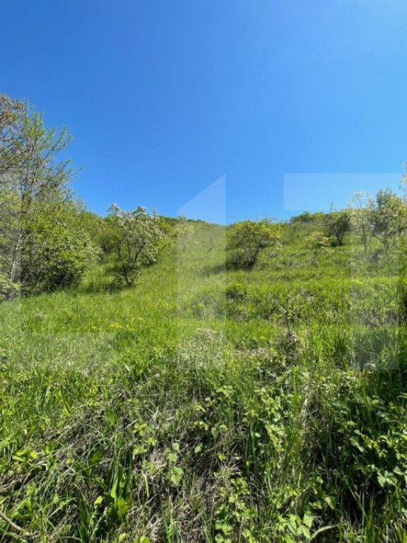 Teren de vanzare 5800 mp, front 32 ml, in zona de case Dezmi