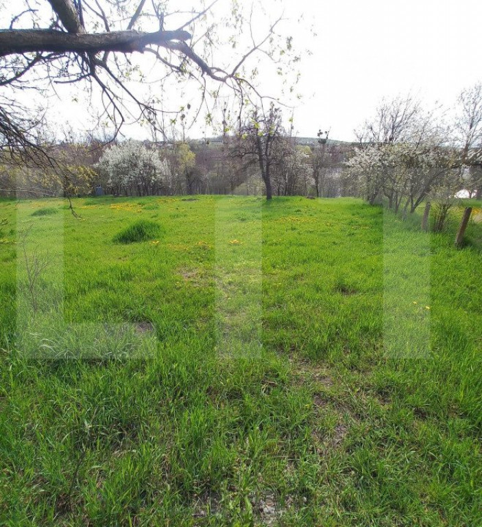 Teren intravilan 1800 mp, Salicea