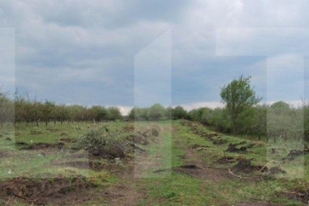 Exclusiv! Oportunitate! Teren extravilan, 3100 mp, panorama,