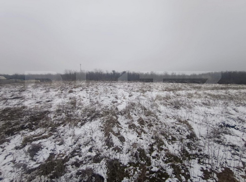 Teren intravilan 1750mp, zona Veteranilor!