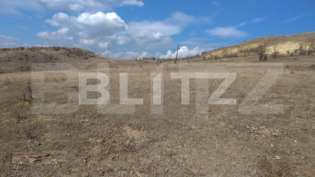 Teren de 2000 mp, front 38 ml, sat Vladiceni