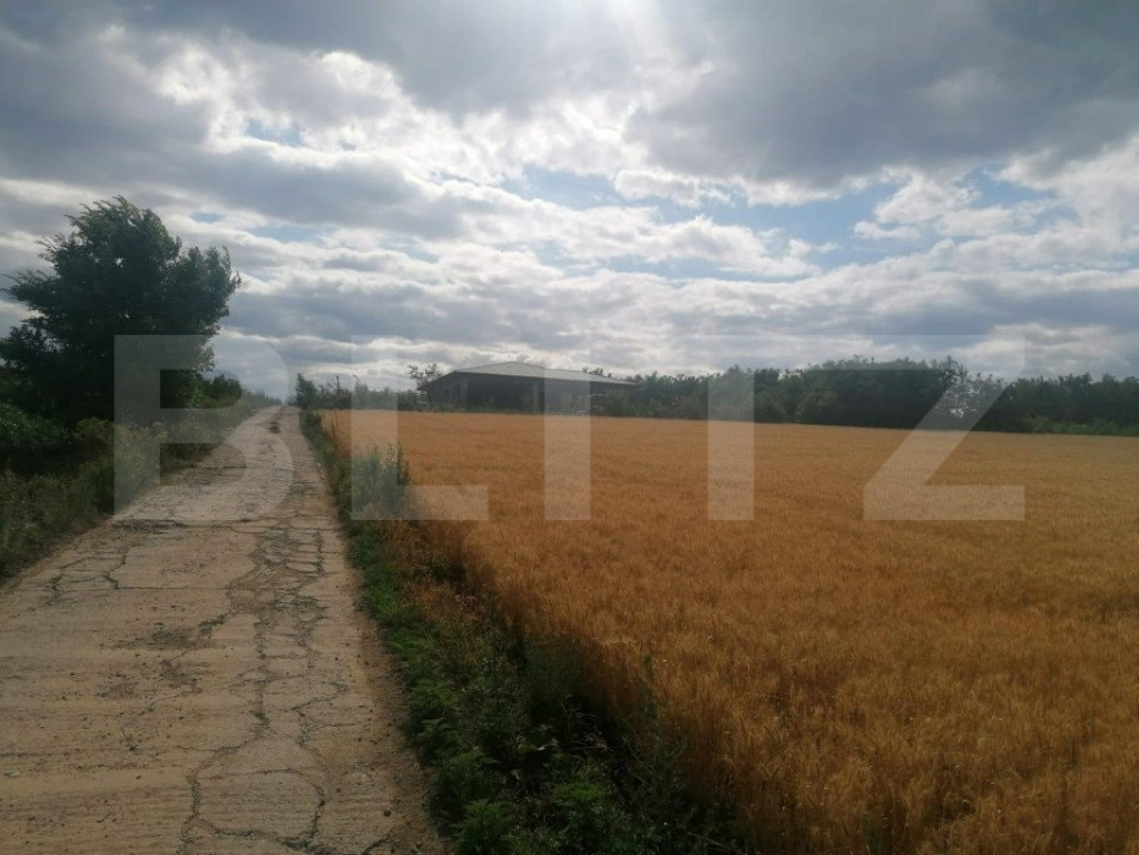 Teren 1000 mp, 30 ml deschidere la drum betonat, Moara de Va