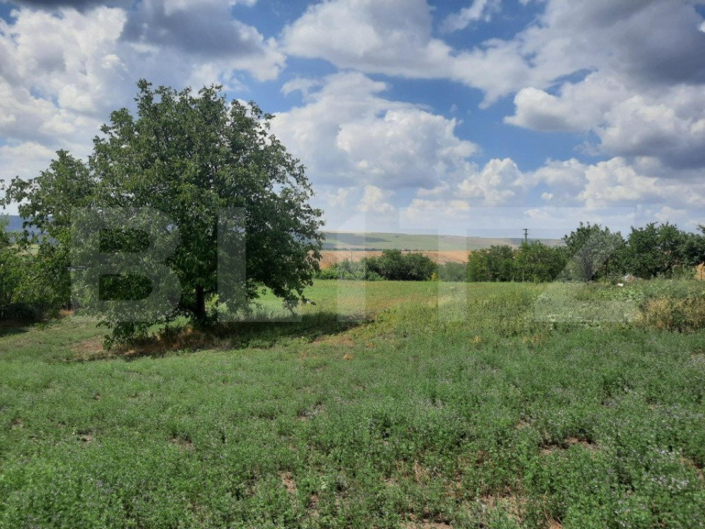 Teren intravilan 7400 mp+ casa din BCA, comuna Scanteia, sat