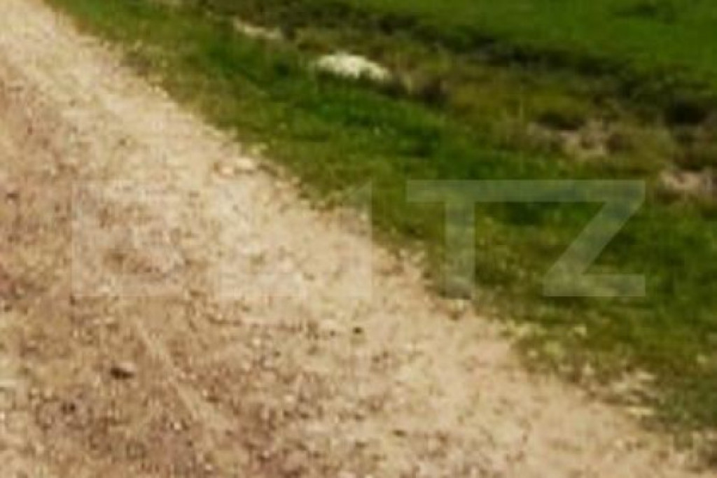 Teren intravilan de 2000 mp in Scheia