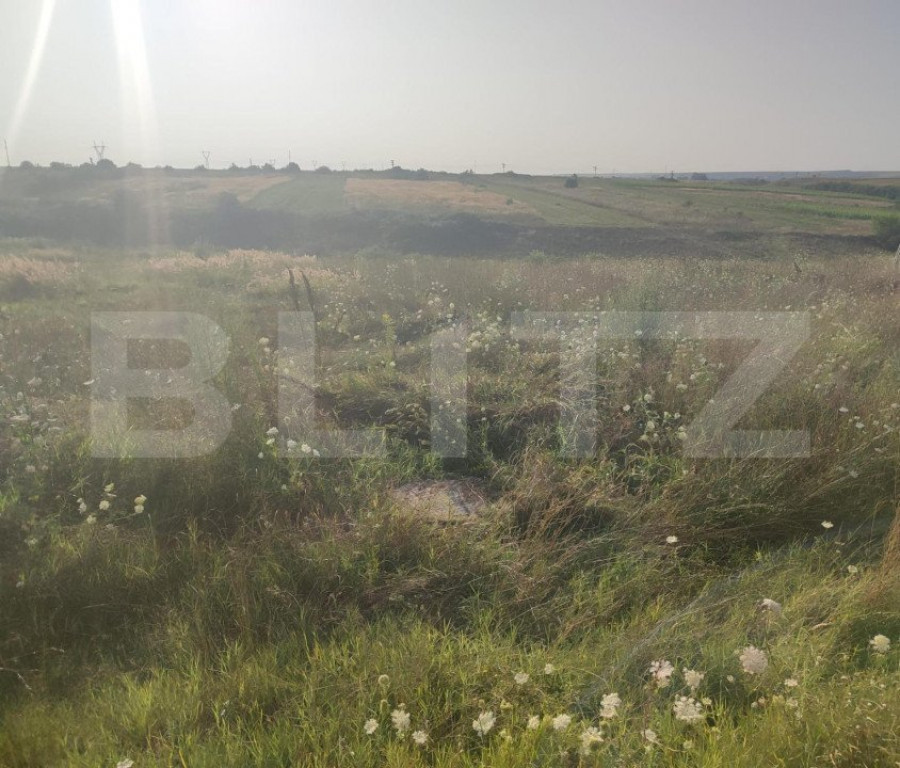 Teren intravilan 5000 mp deschidere 17 ml la DN65 , zona Qfo