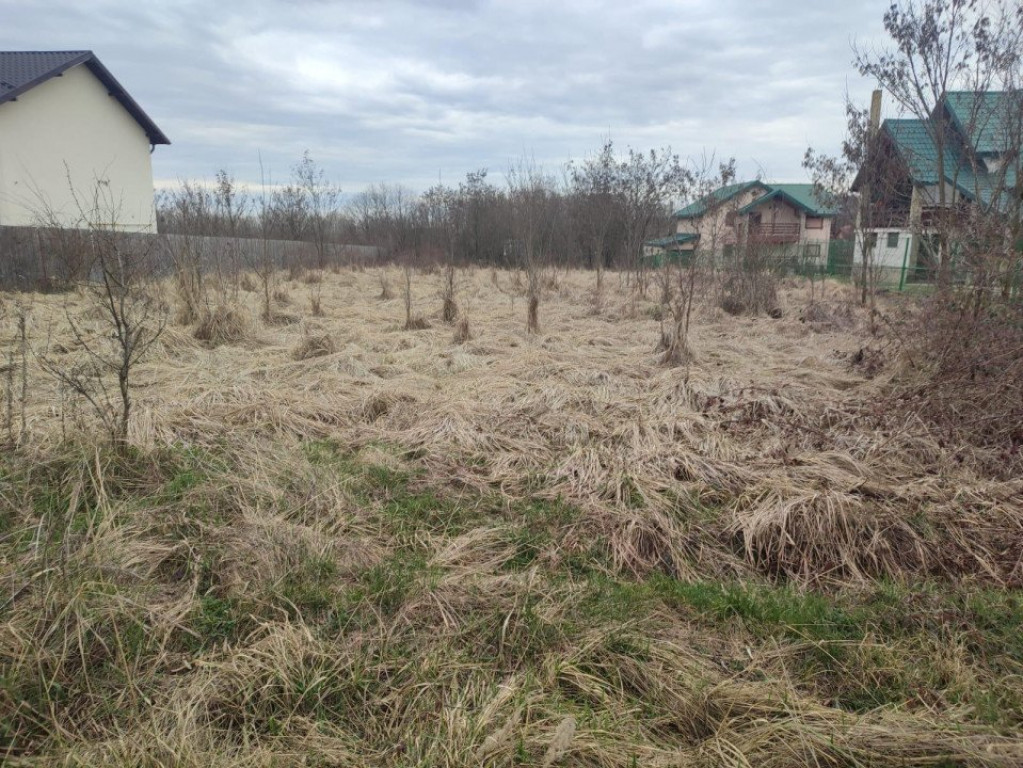 Teren de vanzare, 2087 mp, Mosoaia