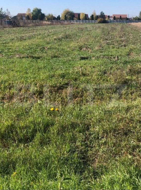 Teren industrial cu suprafaţă de 1100 mp în Calea Şagulu