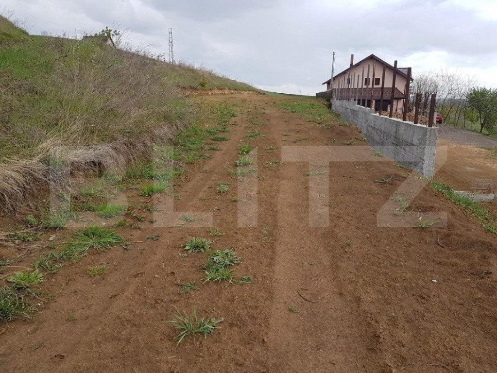 Teren intravilan 5300 mp, pretabil pentru construirea de hal