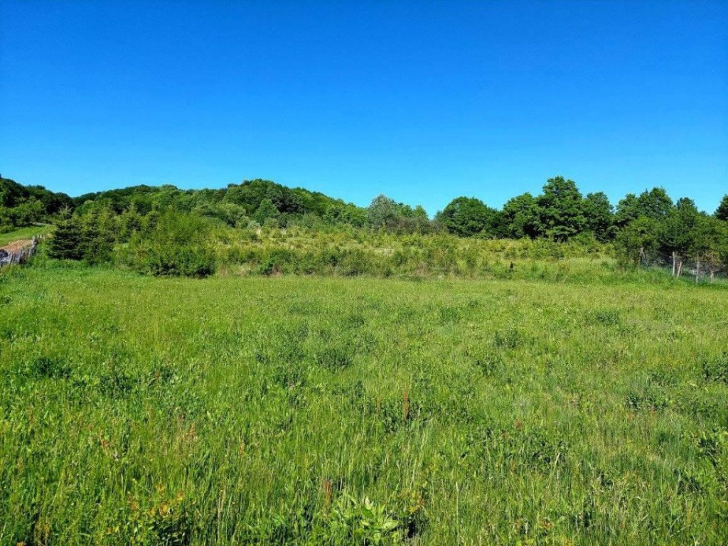 Teren investitie in Curtea de Arges