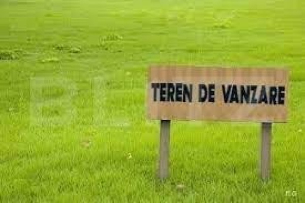 Teren de vanzare, 6000 mp, in Braytim