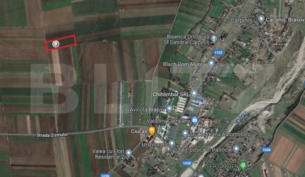 Teren extravilan 12000mp, pretabil investitie, Tarlungeni