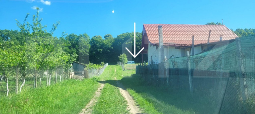 Teren de vanzare 8 ari in Livezeni