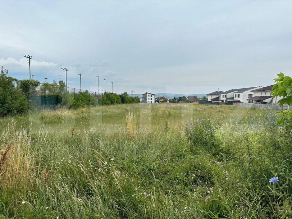 Teren intravilan, 7441mp, zona Lidl Cetate