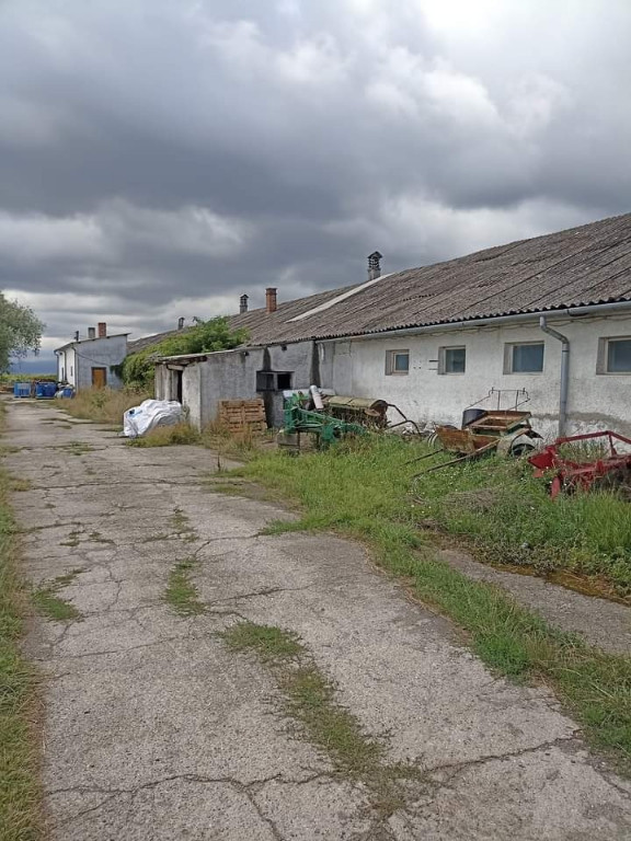 De vânzare hala industriala în Ilieni