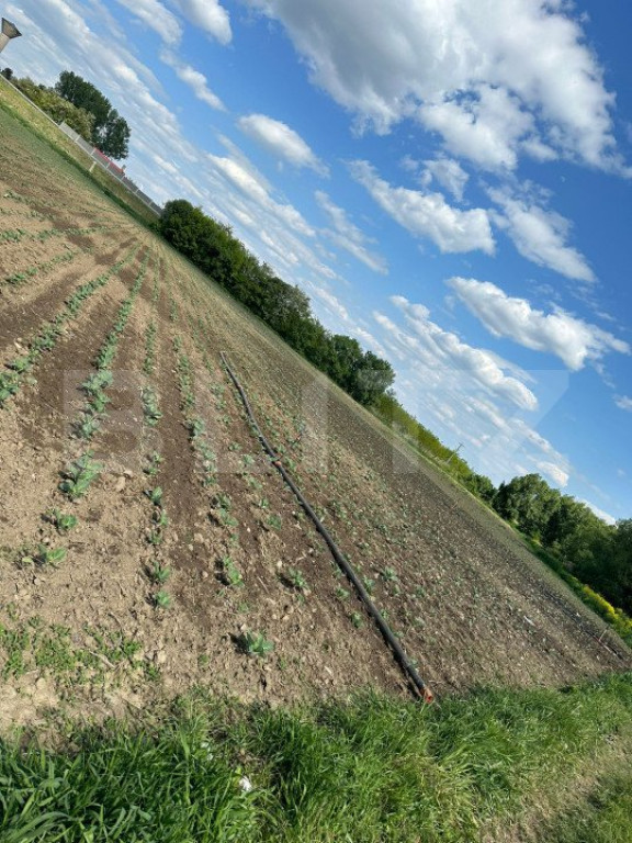 Teren 4800 mp ideal pentru investit, zona Radauti