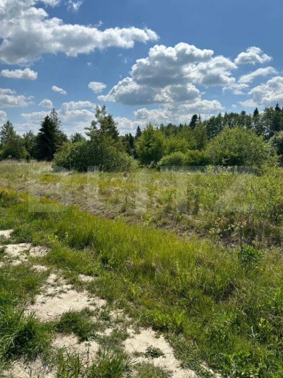 Teren intravilant, 2500 MP, parcelabil , front 25 ml ,Hardic