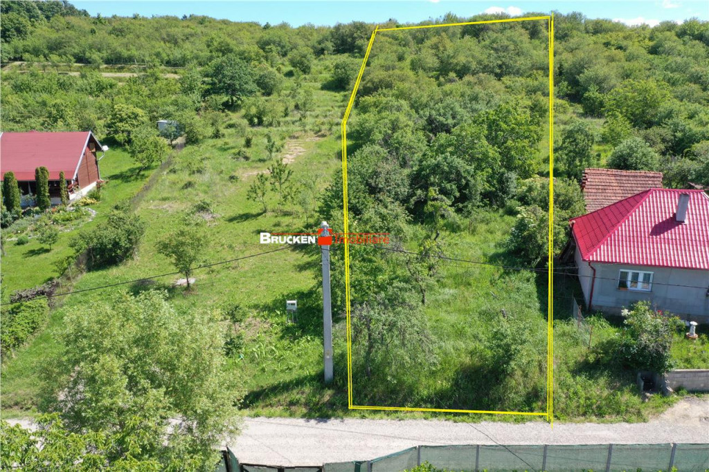 TEREN PENTRU CONSTRUCTIE REZIDENTIALA | 2878 MP | PODGORIA