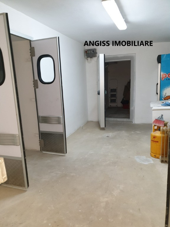Hala frig/ spatiu str Isaccei zona Dedeman