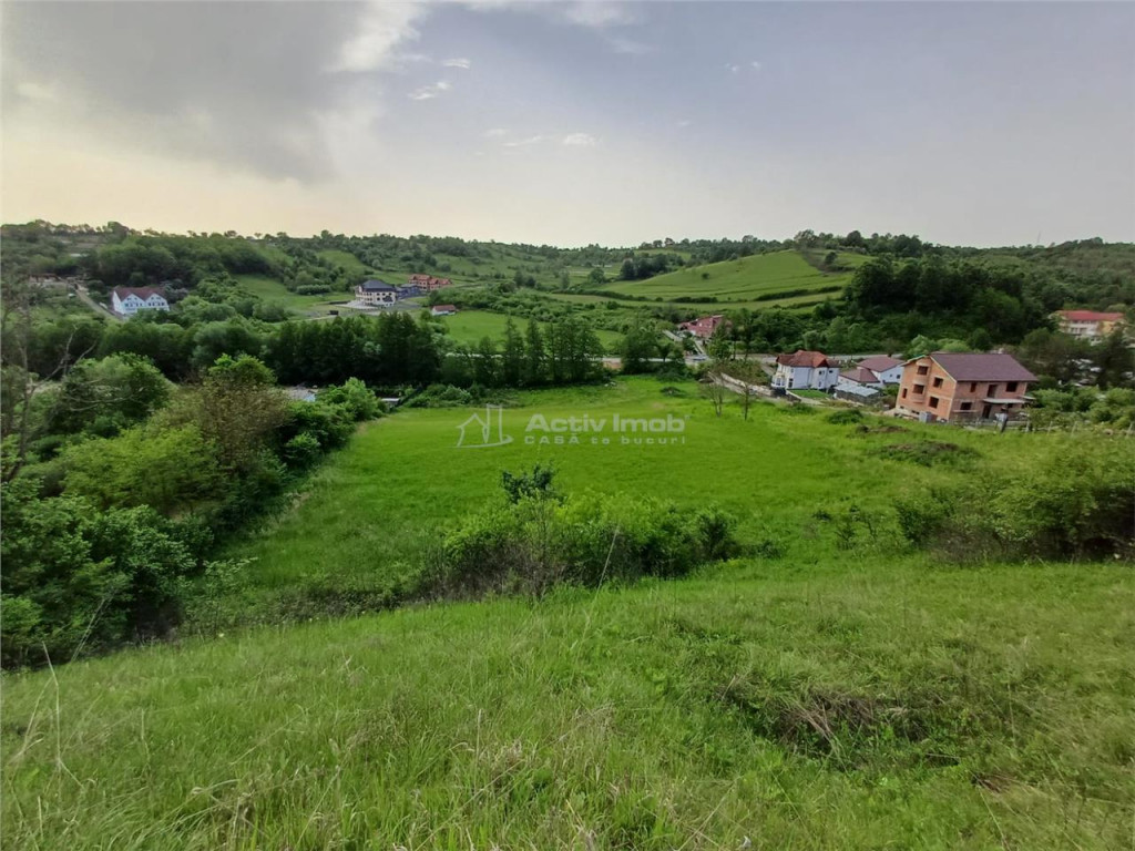 Resita, Teren Intravilan 8824 Mp., 23 Euro/Mp., Calea Carans