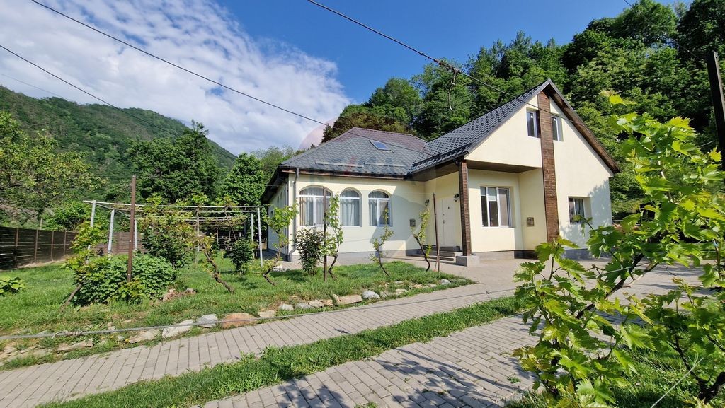 Casa in inima naturii | 5 camere | teren 3600 mp - la 20 ...