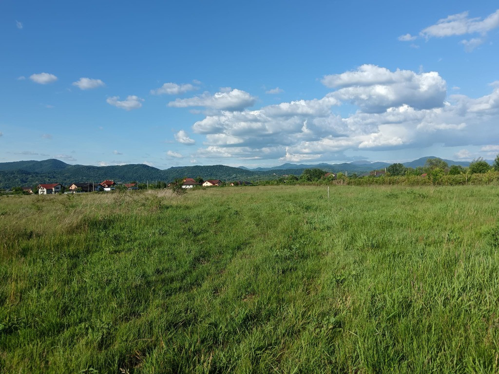 Merisor, 54 ari teren