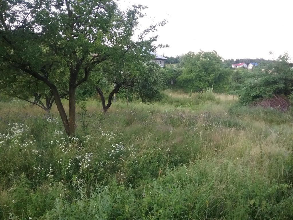 ID 17276: Teren 1.156 mp, Sangeorz-Bai