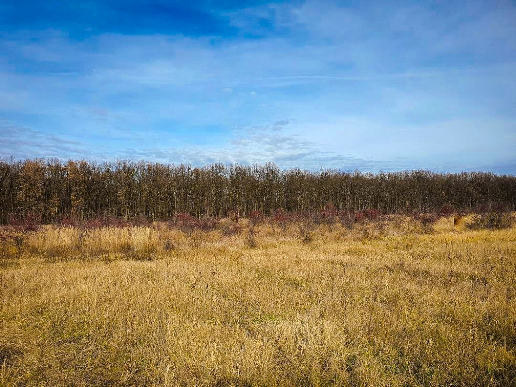 Teren intravilan Colina Verde Trivale