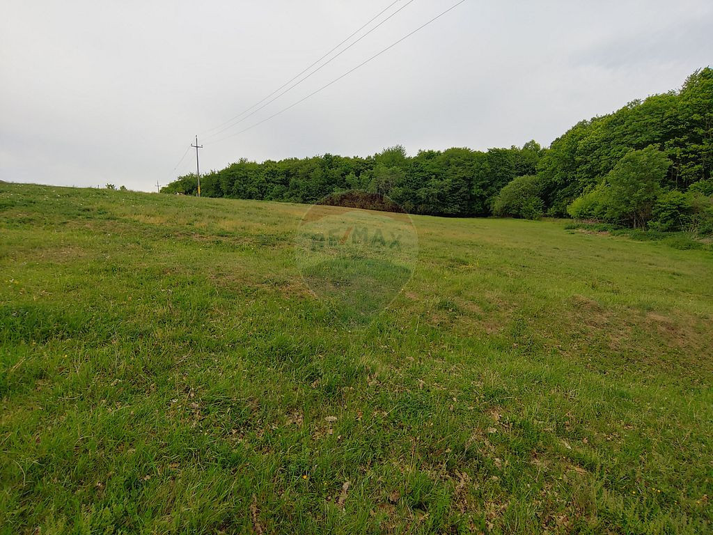 Teren intravilan 3900mp, Mitocu Dragomirnei-Mitocasi-Coas...