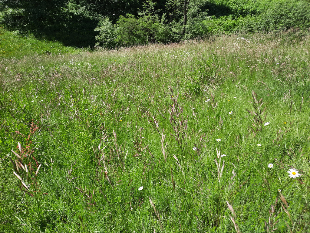 Teren intravilan situat in Predeal