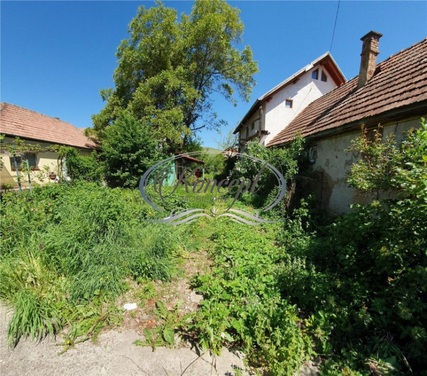 Teren intravilan in Floresti