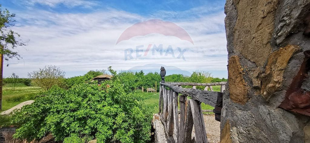 Vanzare Casa-Conac boieresc stil Baroc cu teren in Stoene...