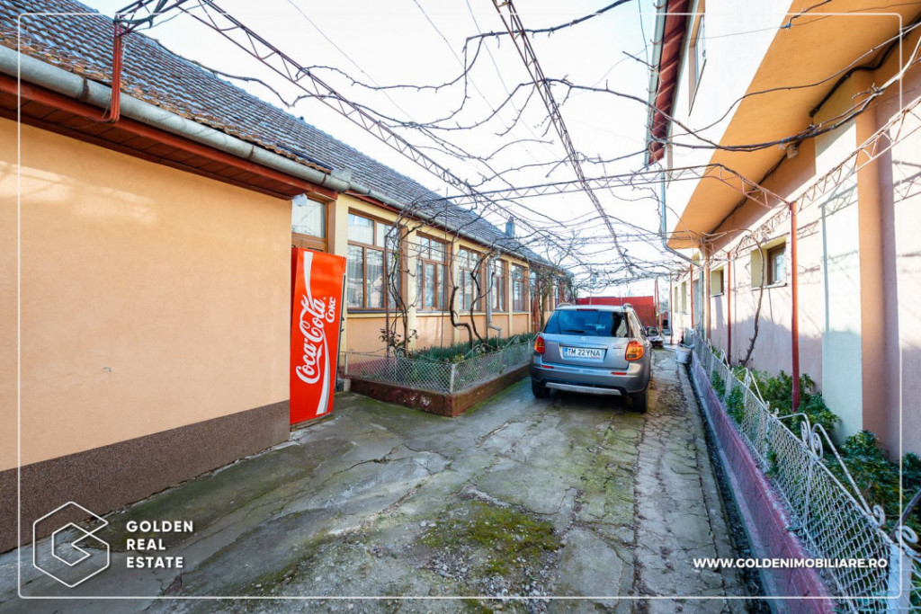 2 case individuale cu SAD in Peciu Nou la 20 km de Timisoara