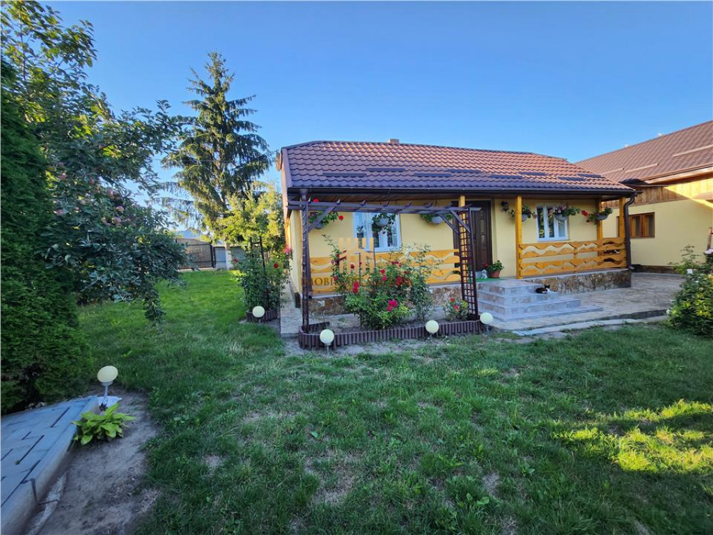 Casa Traditionala Superba - Hintesti