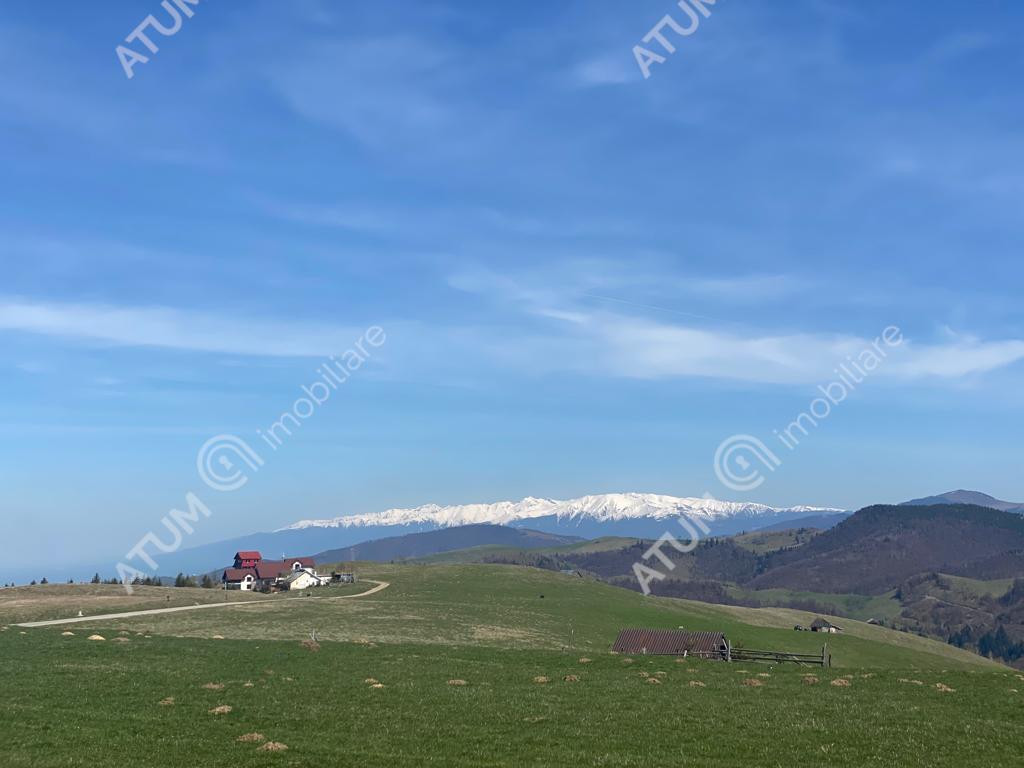 Teren intravilan de 3000 mp cu utiltati si PUZ in Paltinis J